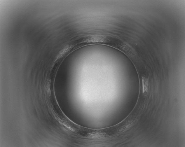 X0000052960300200507151743