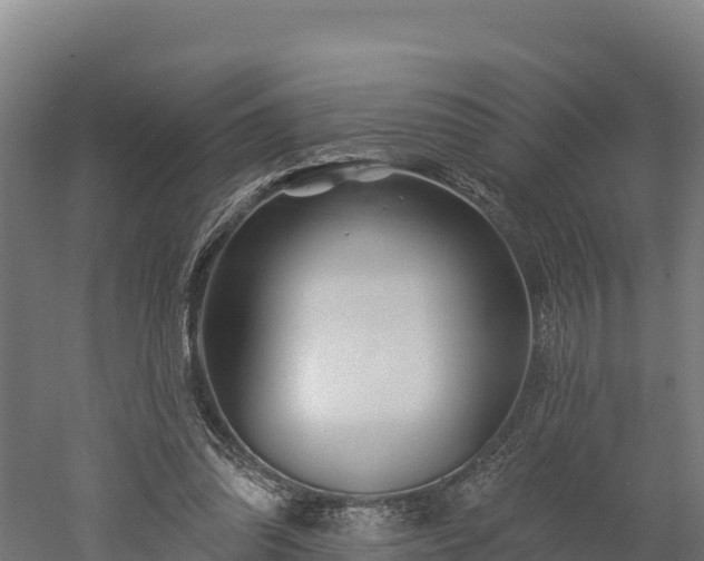X0000052960302200507151743