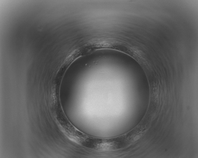 X0000052960312200507151742