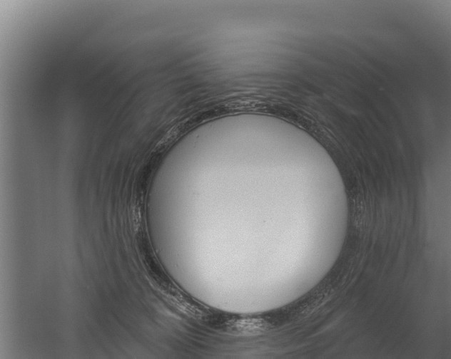X0000052960324200507151742