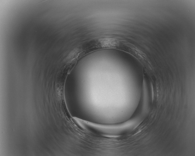 X0000052960329200507151742