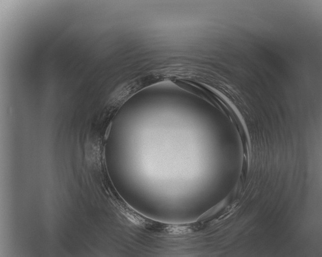 X0000052960333200507151742