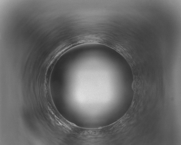 X0000052960338200507151741