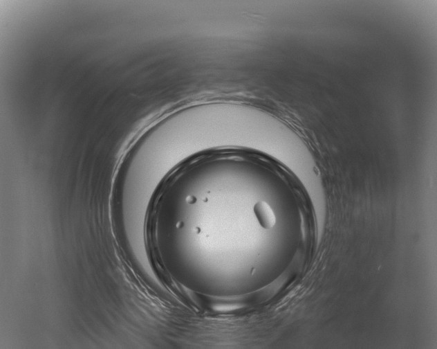 X0000052960340200507151741