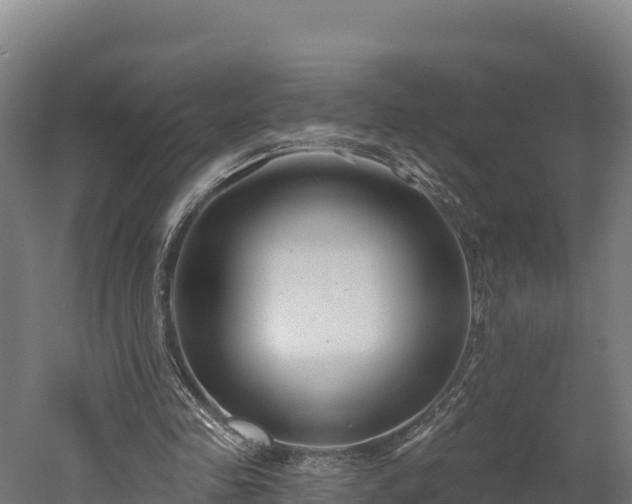 X0000052960341200507151741