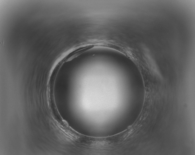 X0000052960342200507151741