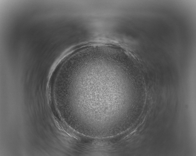 X0000052960343200507151741