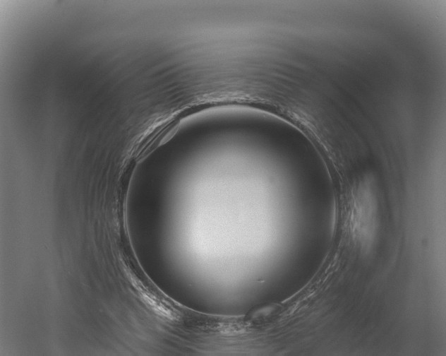 X0000052960345200507151741
