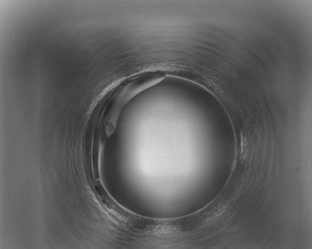 X0000052960348200507151741