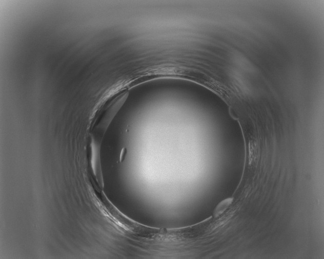 X0000052960349200507151741