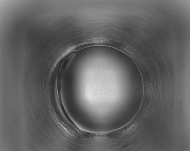 X0000052960350200507151741