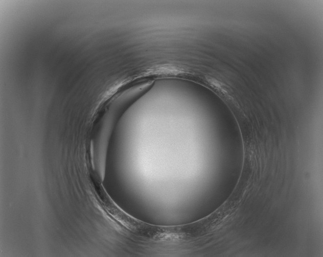 X0000052960352200507151741