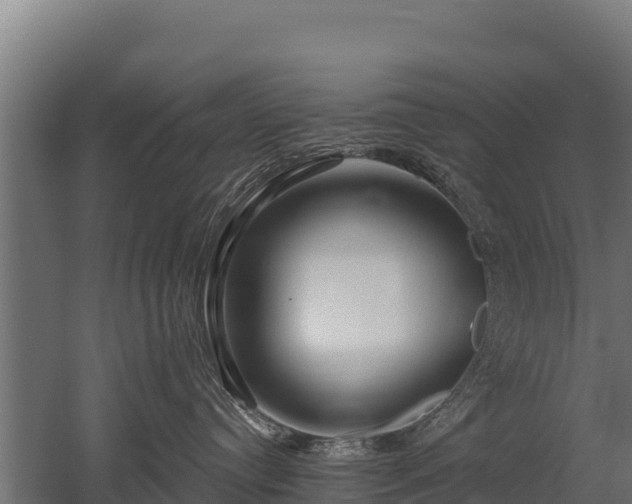 X0000052960384200507151742