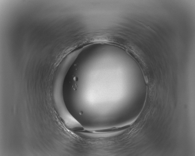 X0000052960385200507151741