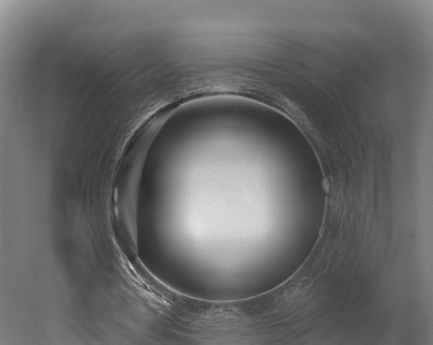 X0000052960386200507151741