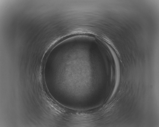 X0000052960387200507151741