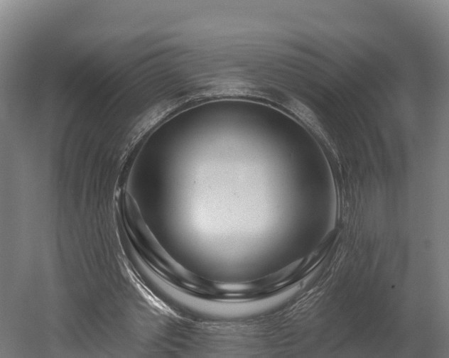 X0000052960389200507151741