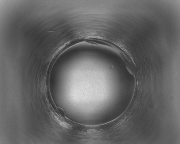 X0000052960390200507151741