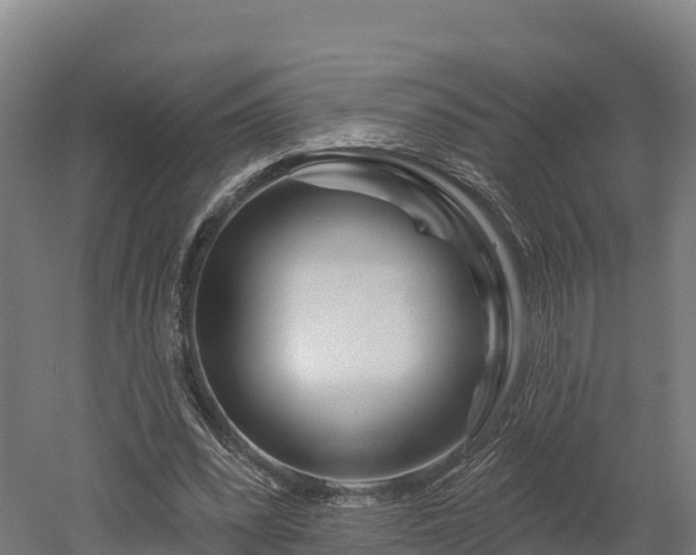 X0000052960392200507151741