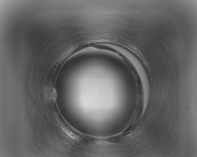 X0000052960393200507151741