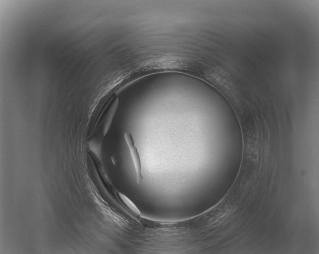 X0000052960394200507151741