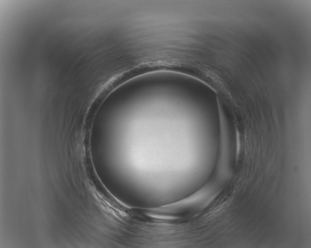 X0000052960395200507151741