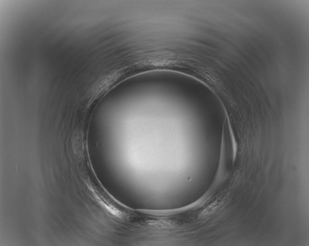 X0000052960397200507151741
