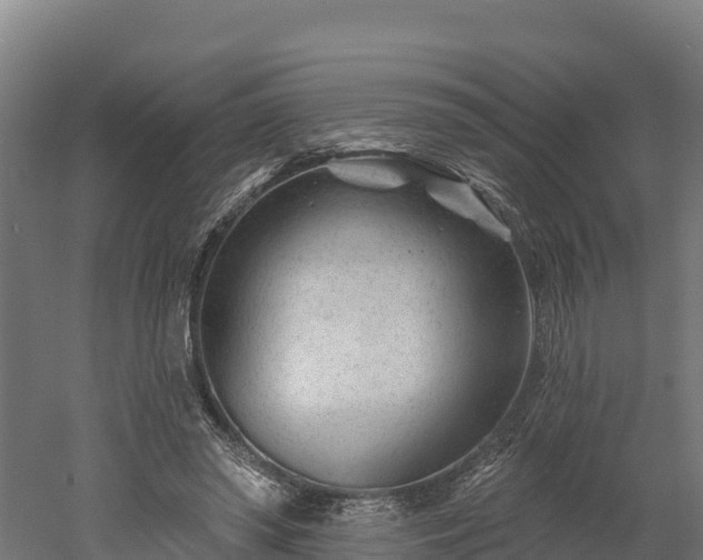 X0000052960398200507151741