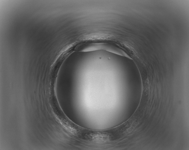 X0000052960400200507151741