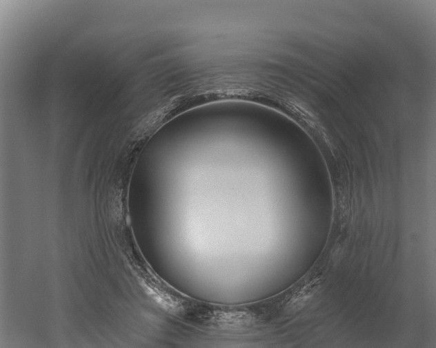 X0000052960401200507151741