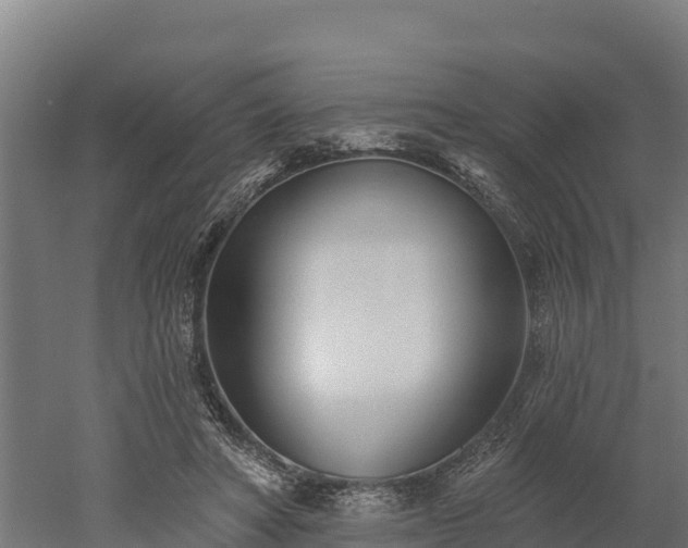 X0000052960402200507151741