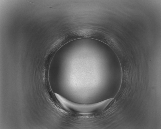 X0000052960404200507151741
