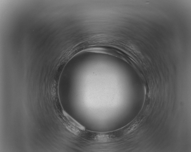 X0000052960413200507151741