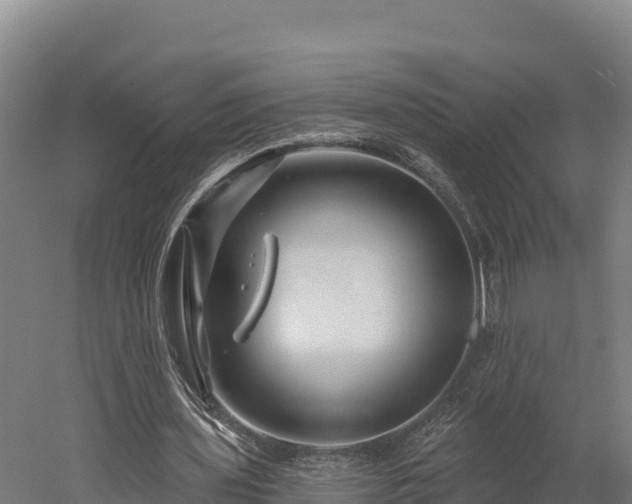 X0000052960435200507151740