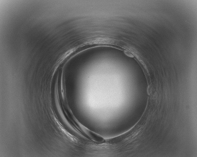 X0000052960437200507151740