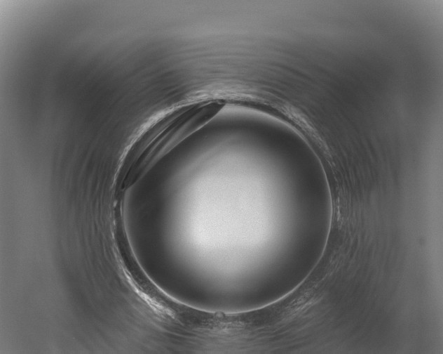 X0000052960438200507151740