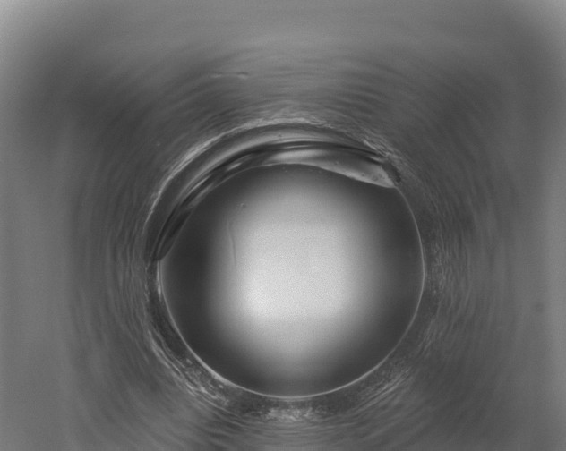 X0000052960440200507151740