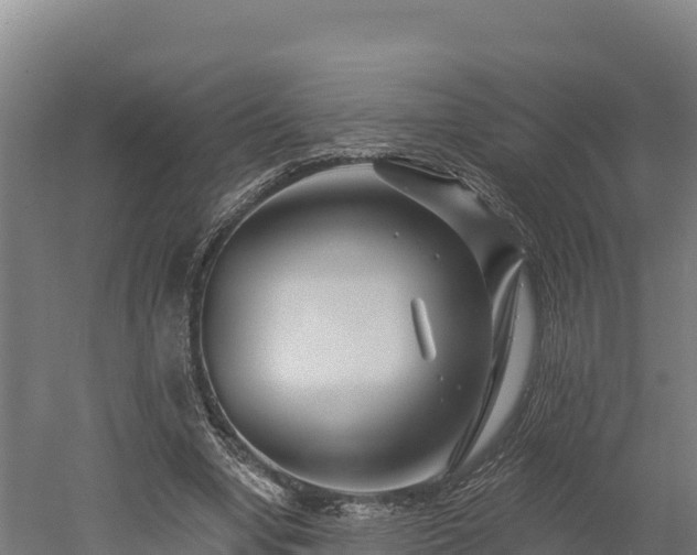 X0000052960442200507151740