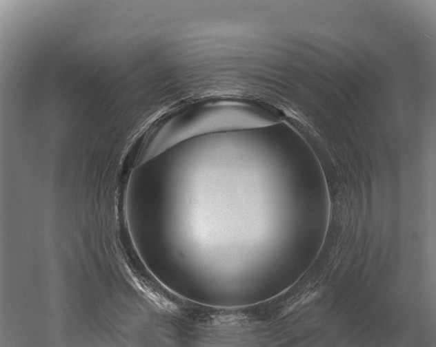 X0000052960446200507151740