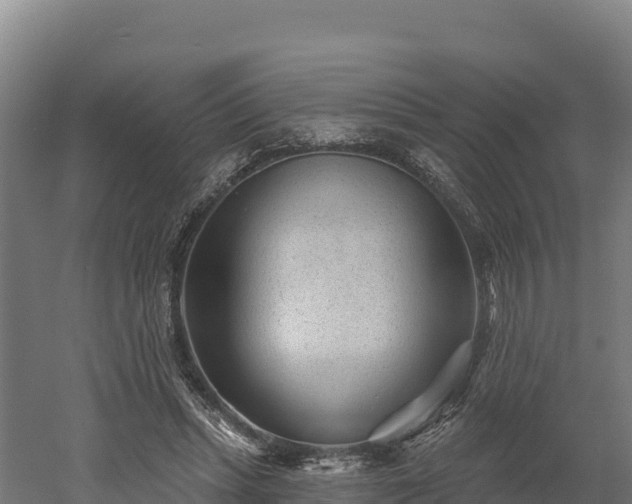 X0000052960447200507151740
