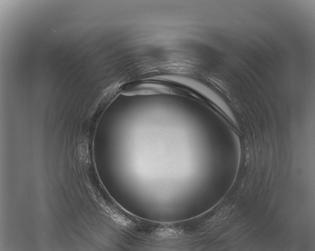 X0000052960453200507151740