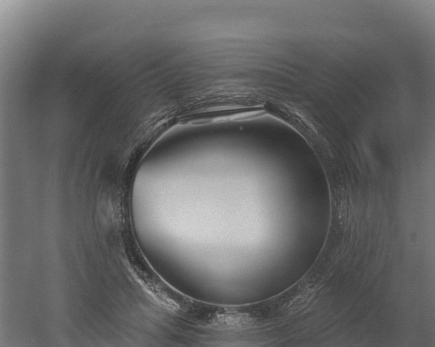 X0000052960455200507151740