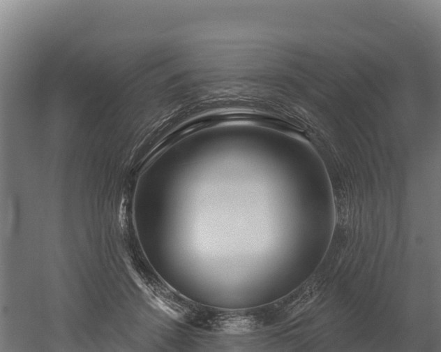 X0000052960456200507151740
