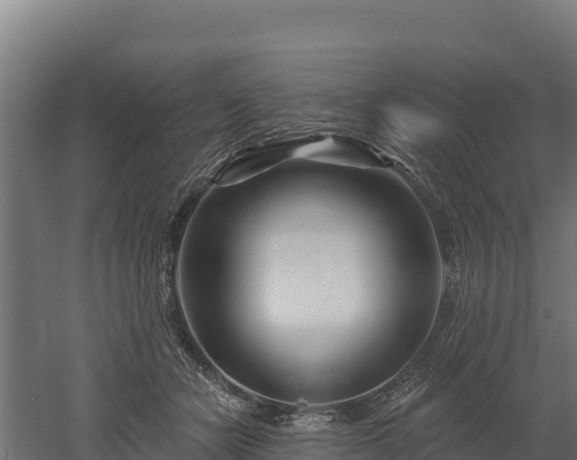 X0000052960462200507151740