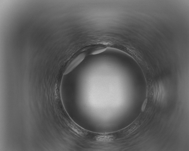 X0000052960465200507151740