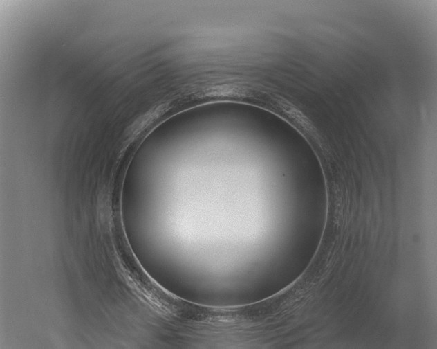 X0000052960482200507151739