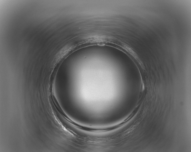 X0000052960485200507151739