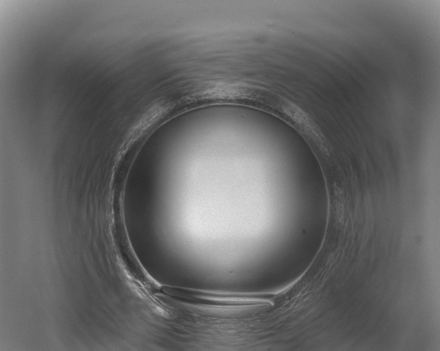 X0000052960486200507151739