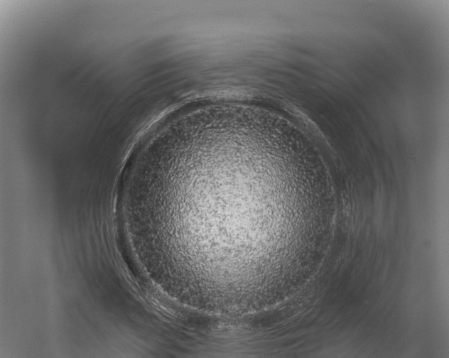 X0000052960487200507151739