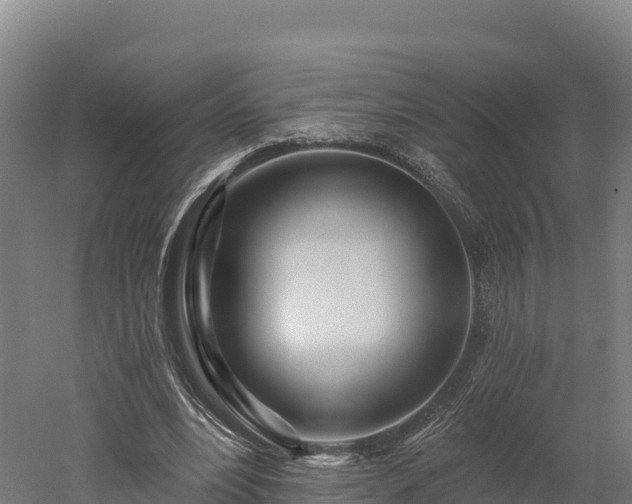 X0000052960488200507151739